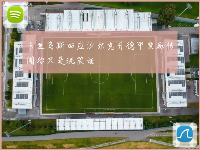 卡里乌斯回应沙尔克升德甲奖励传闻称只是玩笑话