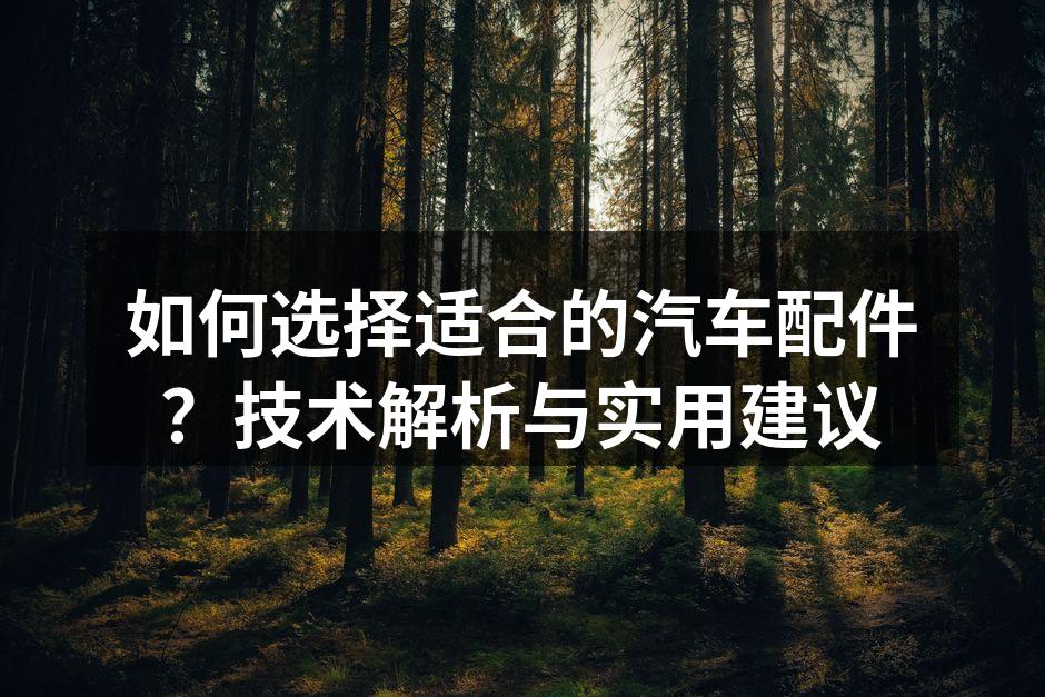 优质汽车配件的市场