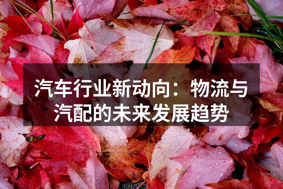 汽车行业物流运输示意图