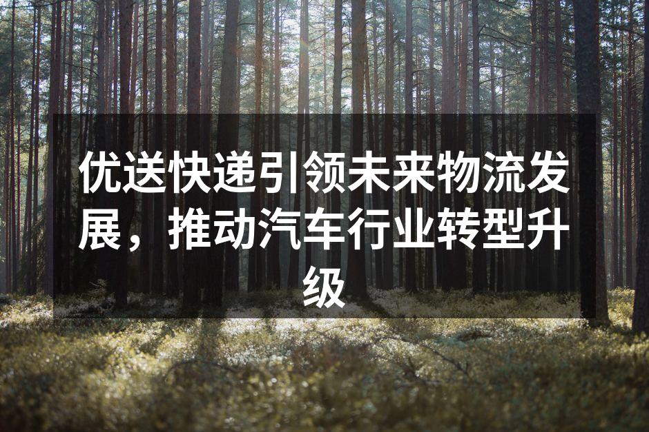 优送快递的智能调度系统示意图
